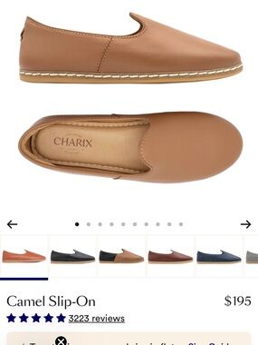 Charix Camel Leather Slip-On Loafer
